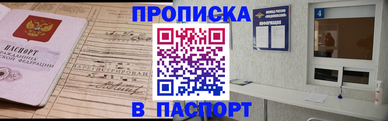 временная регистрация в Щёлково