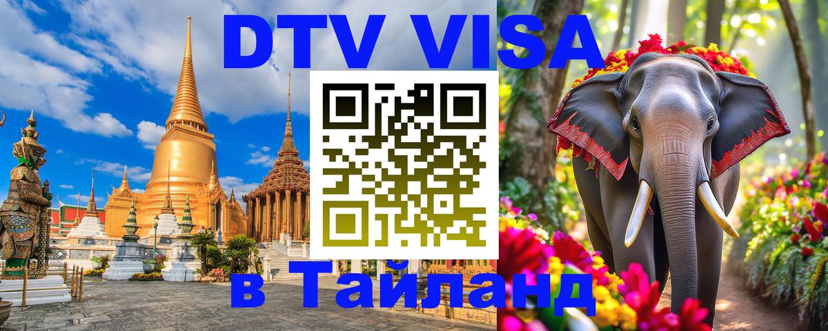 Оформление DTV визы под ключ: стоимость и тарифы, только загранпаспорт - 